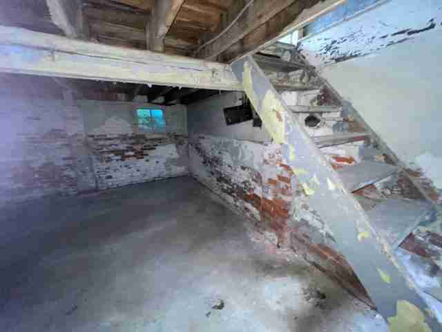 17257 bloom (47).jpg